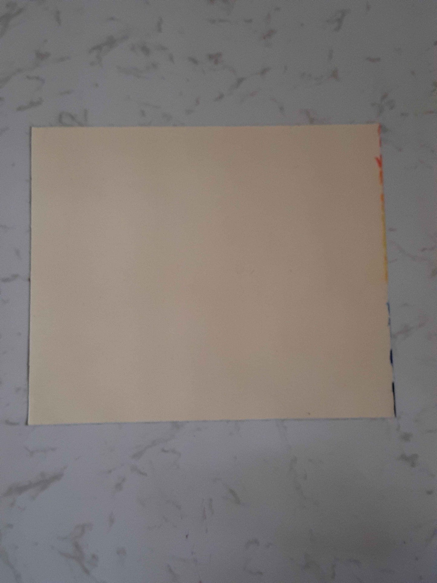 White flower white canvas acrylic color handmade brush painting